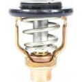 18-3636 YAMAHA TERMOSTAT